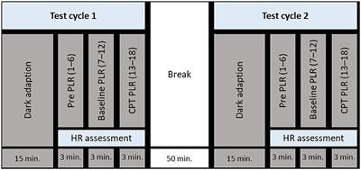 Pain-induced effects on the pupillary light response under high and low illumination conditions